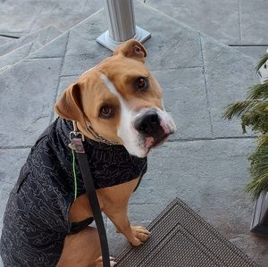 Meet your Posher, Ryan